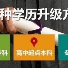 成都市金牌思維教育咨詢有限責任公司 專業教育咨詢，點亮成長之路