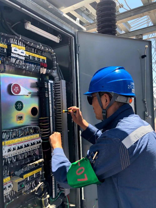 南方電網(wǎng)一大群 丁真 正向你走來(lái)