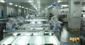 品質(zhì) 欄目無錫尚德 我與太陽有個(gè)約定